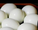 EXT Egg/እንቁላል